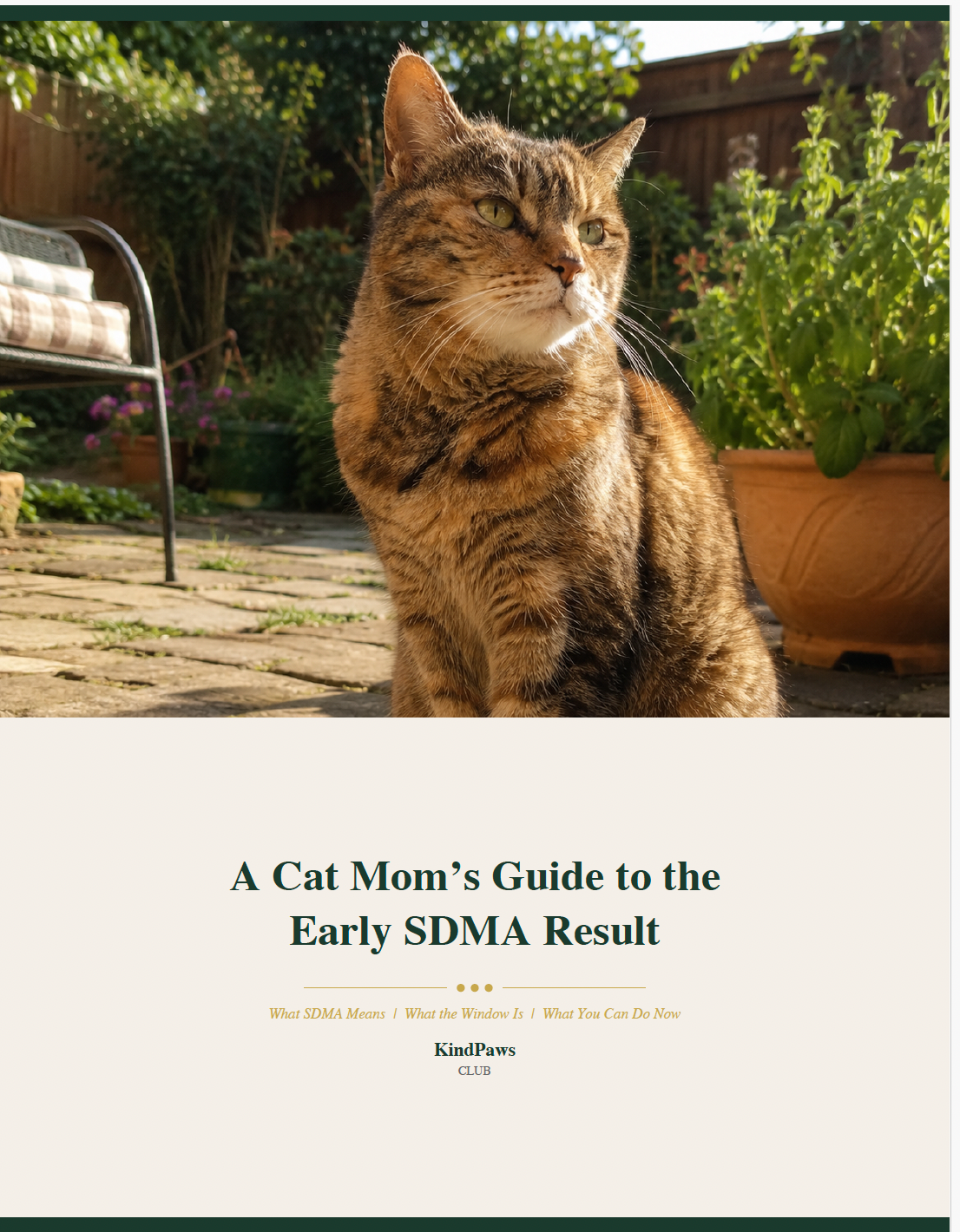 A Cat Mom’s Guide to the Early SDMA Result