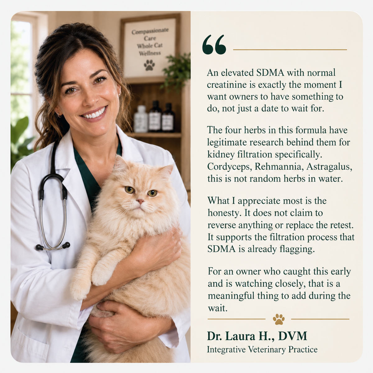 KindPaws™ Kidney Function Support For Cats
