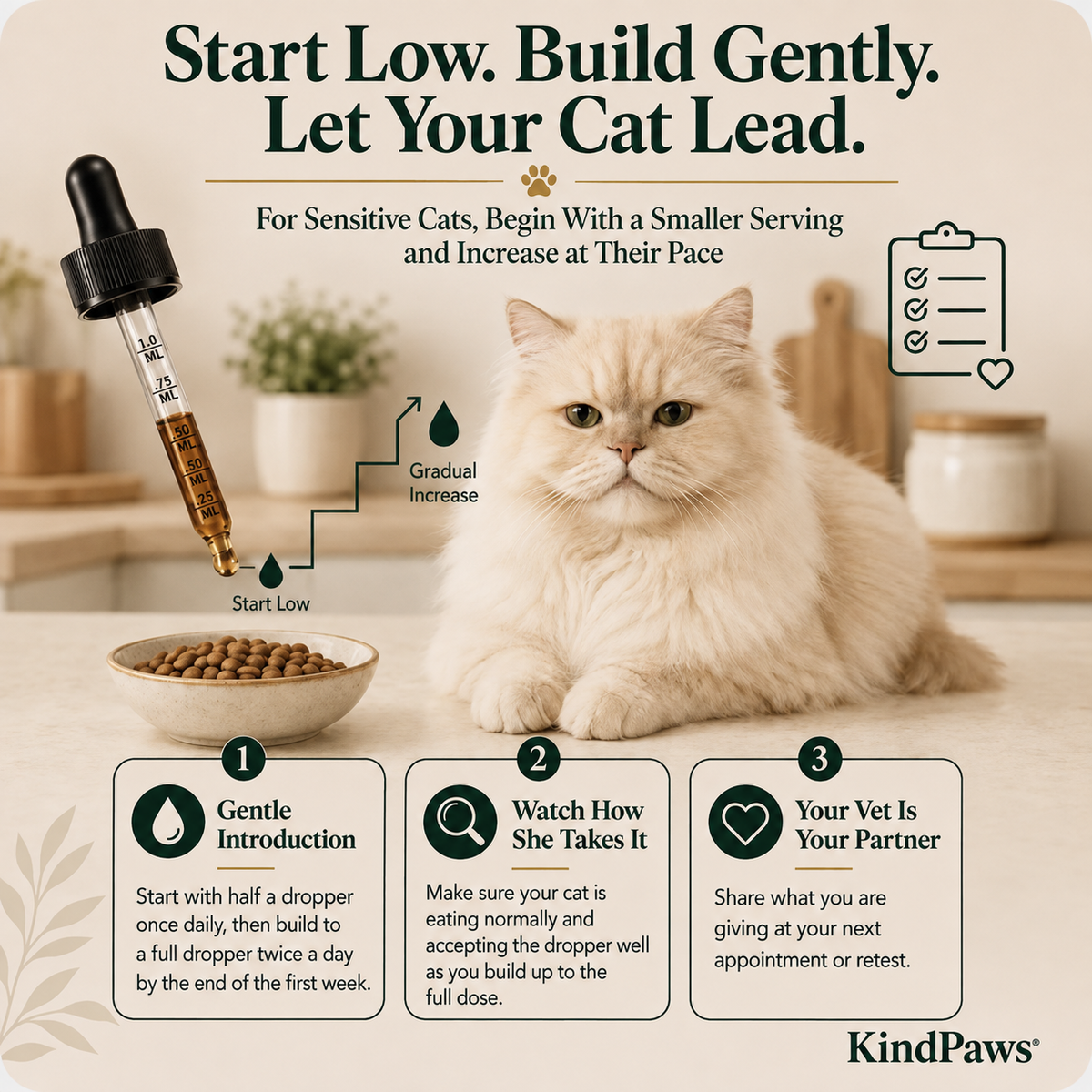 KindPaws™ Kidney Function Support For Cats