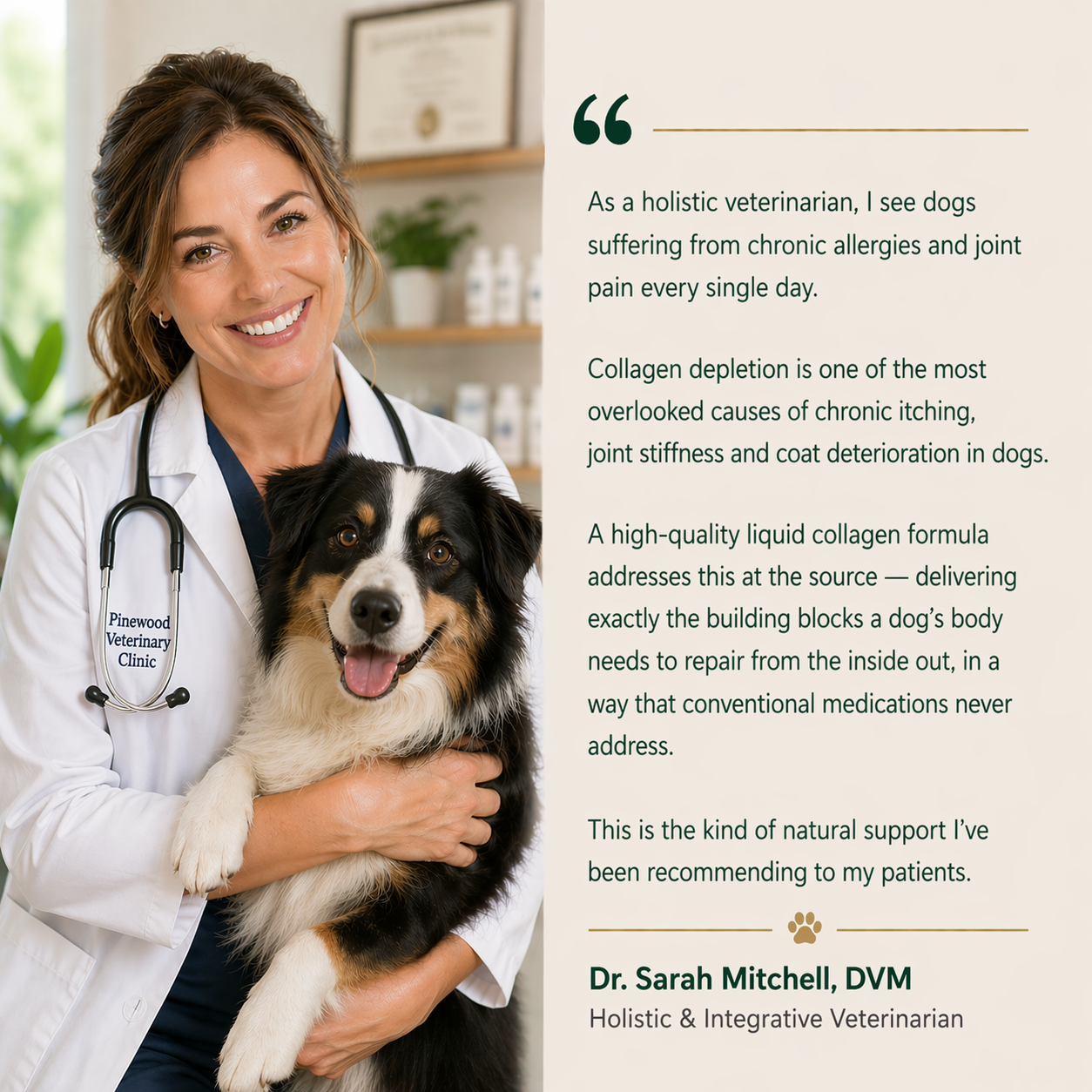 KindPaws™ Collagen Drops for Dogs