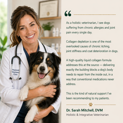 KindPaws™ Collagen Drops for Dogs