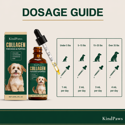 KindPaws™ Collagen Drops for Dogs