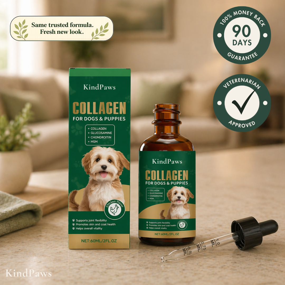 KindPaws™ Collagen Drops for Dogs