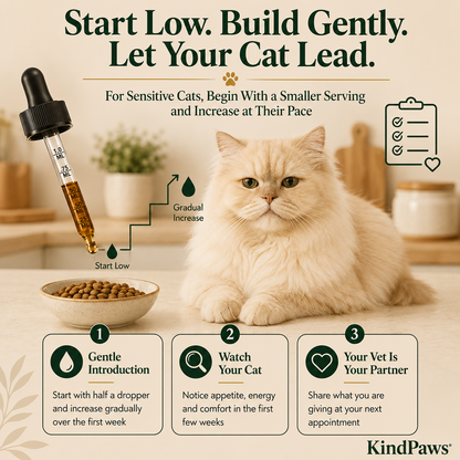 KindPaws™ Kidney Support For Cats