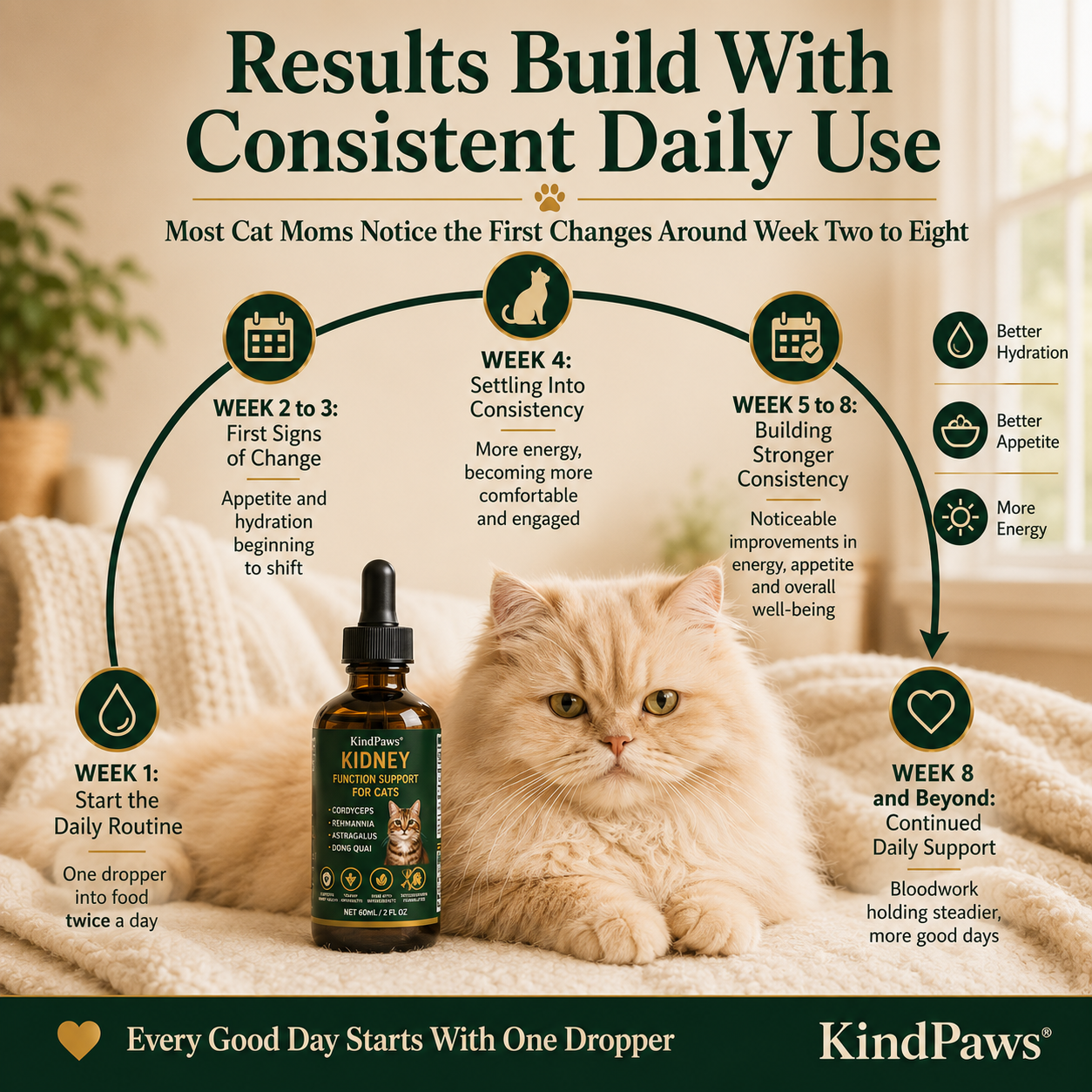KindPaws™ Kidney Support For Cats